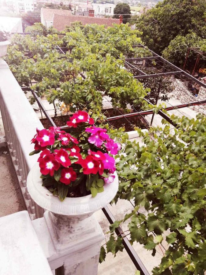 Nemanja Apartamento Trebinje Exterior foto